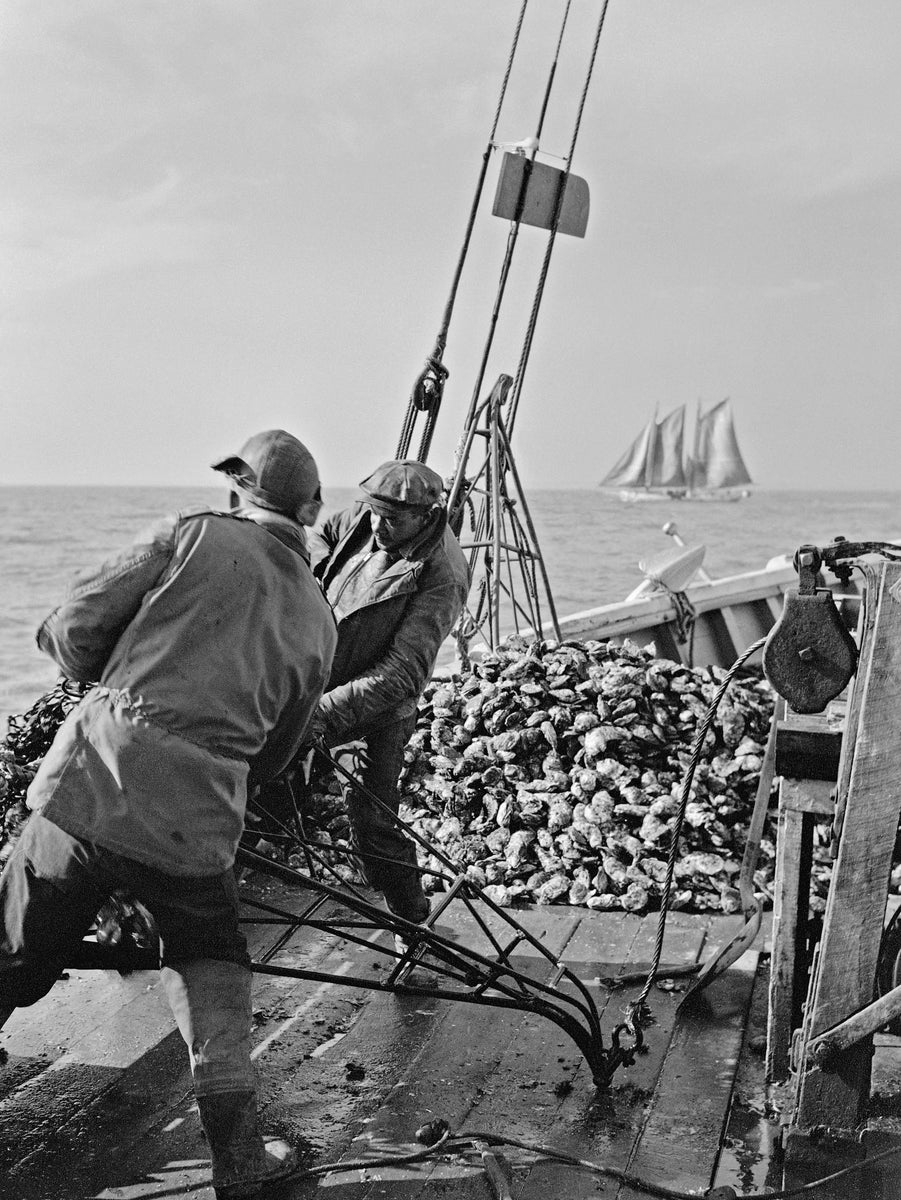 Oyster Dredgers III Annapolis Collection Gallery