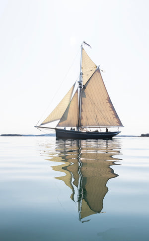 Gaff-rigged Sloop with Double Foresail