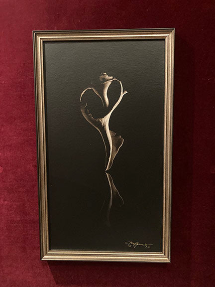 Sam's Shell – Annapolis Collection Gallery