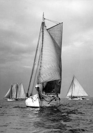 Schooner and Skipjacks