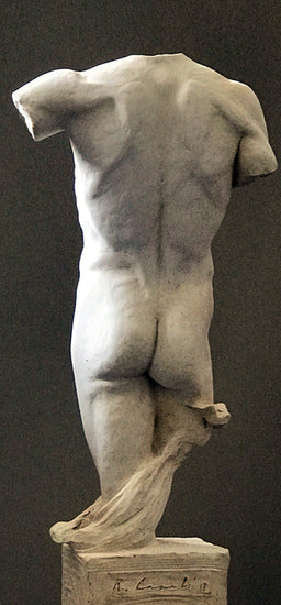 Grecian Torso